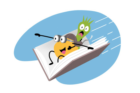 Vliegend boek